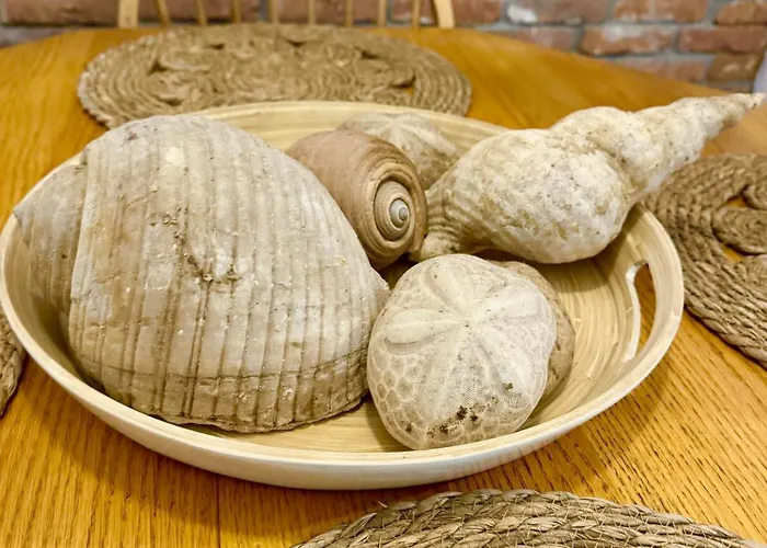 Terra Massa Apartman